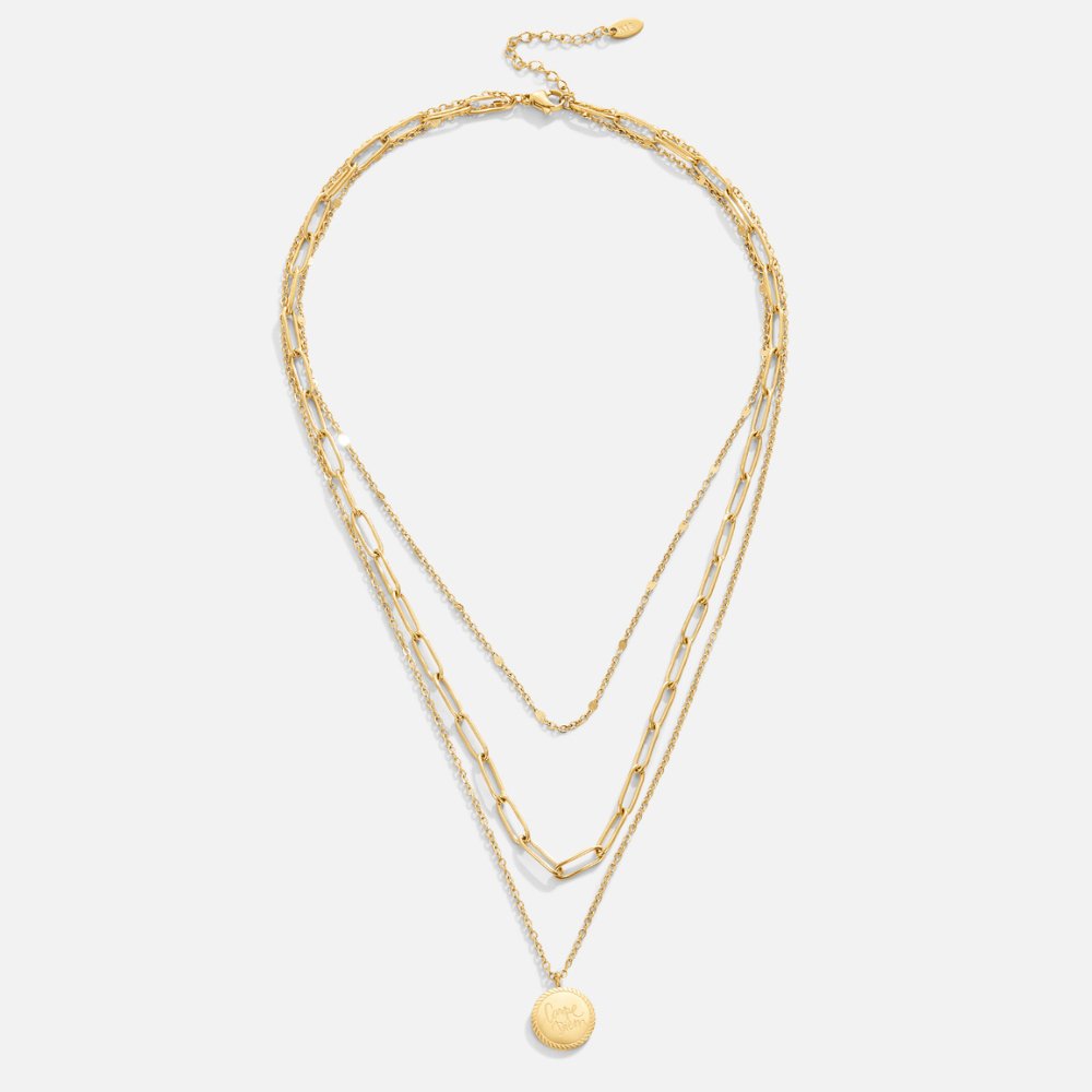 Colar em Camadas Janie com Moeda
